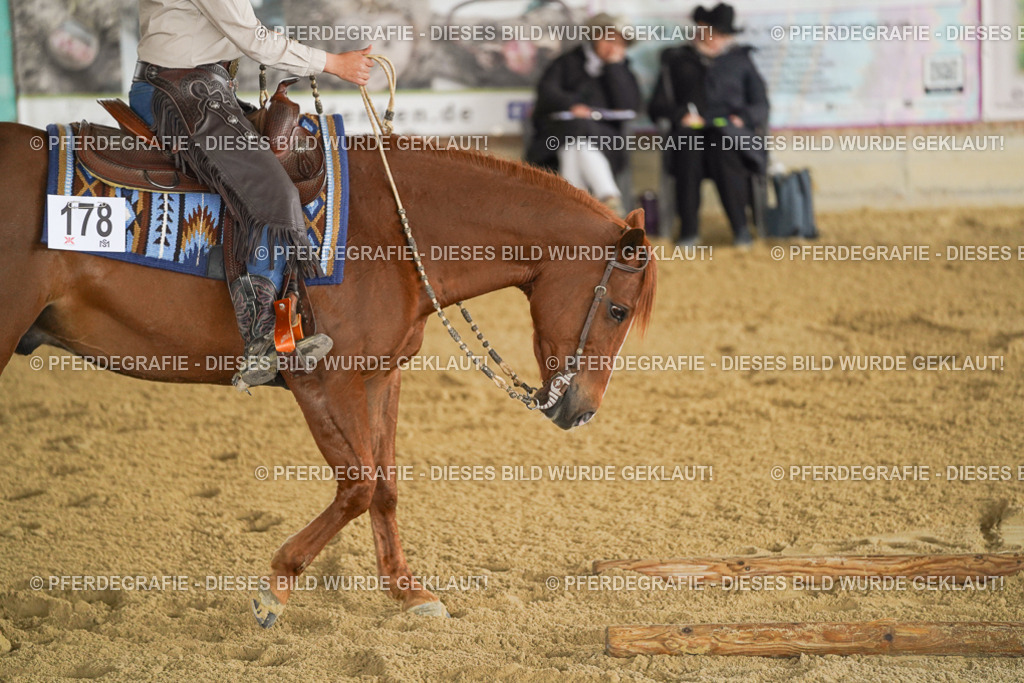 DSC03929 | Pferdegrafie