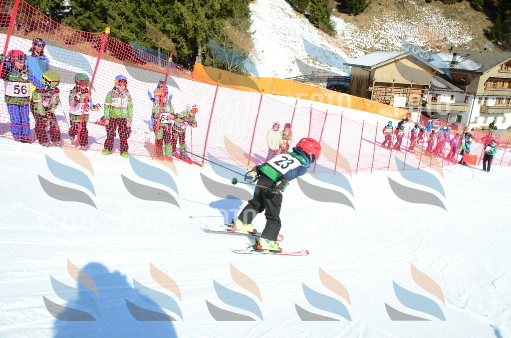 C4782 | holidayphoto