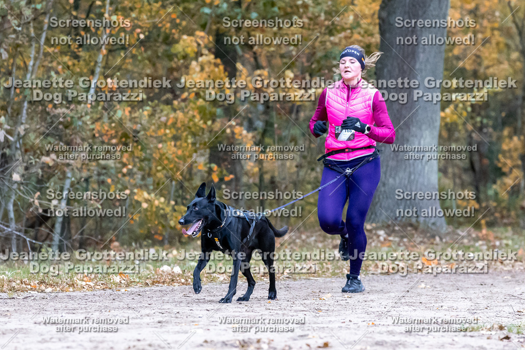 Dog Paparazzi - SD CaniX Championship 2025-123 | Dog Paparazzi Jeanette Grottendiek Fotografie & Videografie - Realisiert mit Pictrs.com