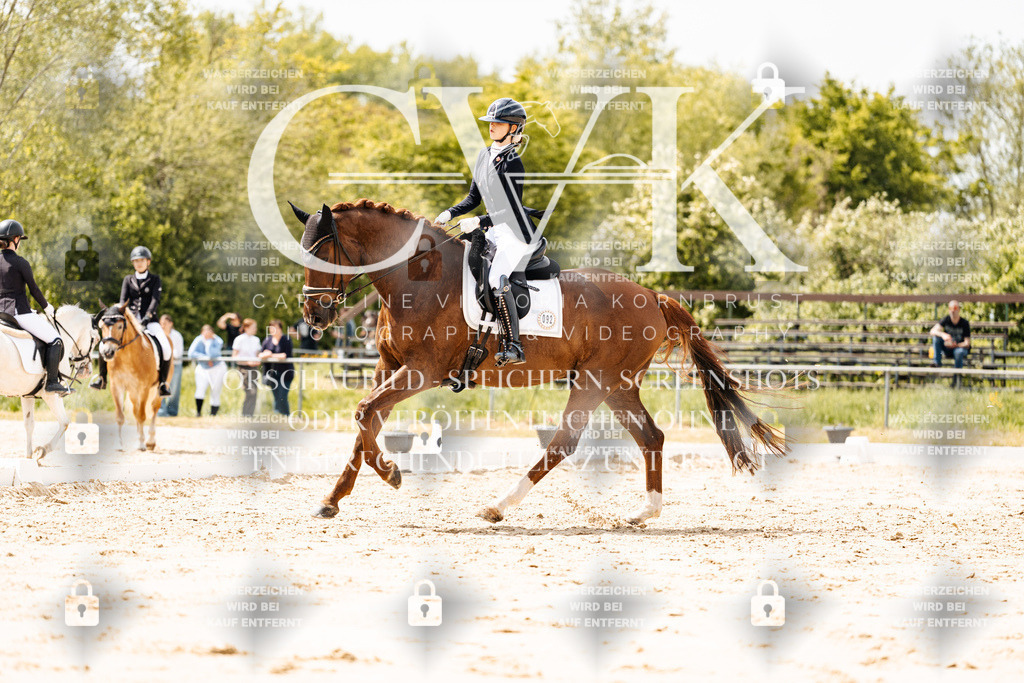CK902084 | Turnierfotografie Pferdefotografie Trier Rheinland-Pfalz Pferdesport Reitsport Tierfotografie Sportfotografie Pferdevideo Pferdevideografie Equestrianvideography equestrianphotography  - Realisiert mit Pictrs.com