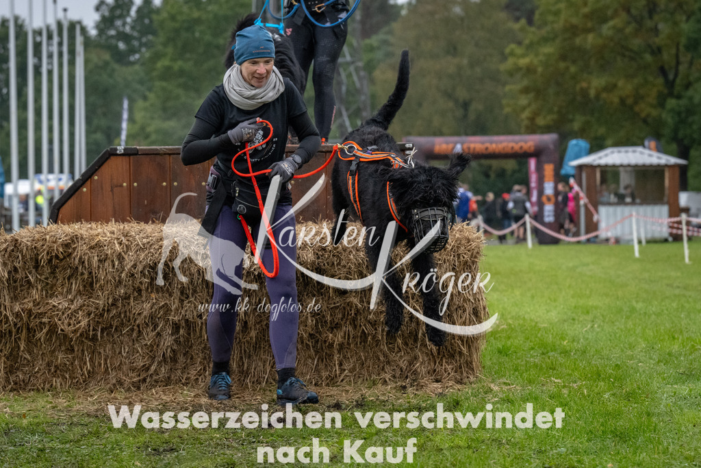 1111-93818 | kk-dogfotos