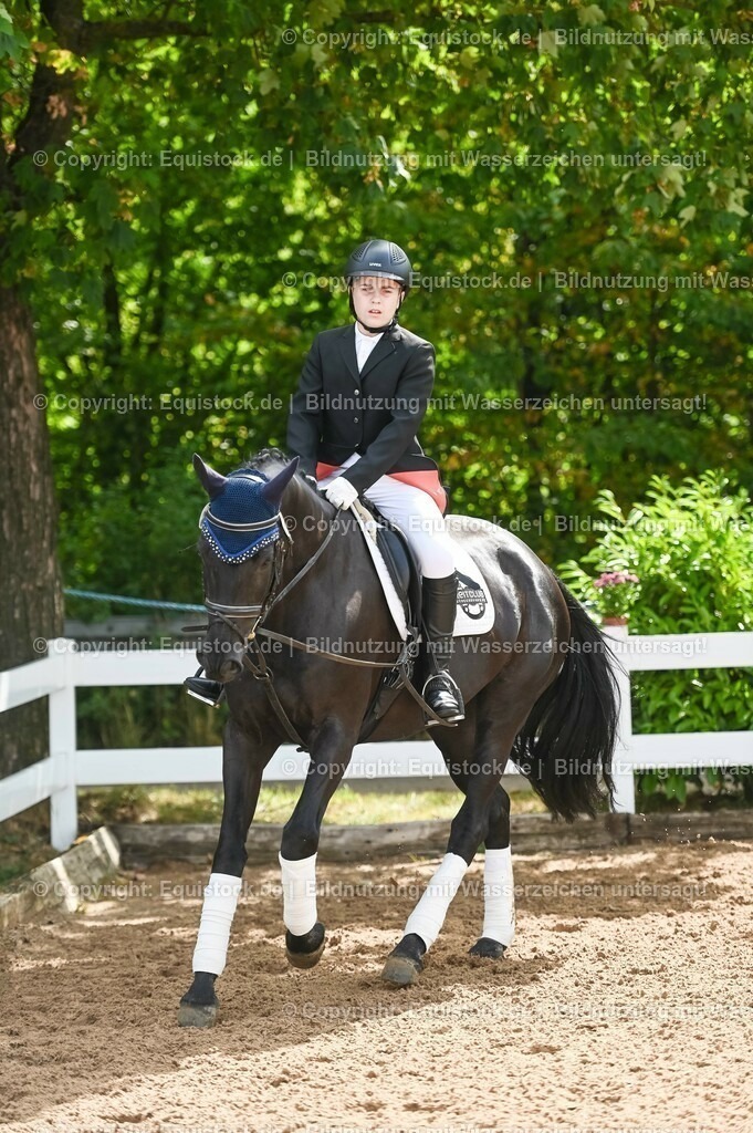 20230716_10-1_Reiter-WB Schritt - Trab - Galopp_0147 | equistock