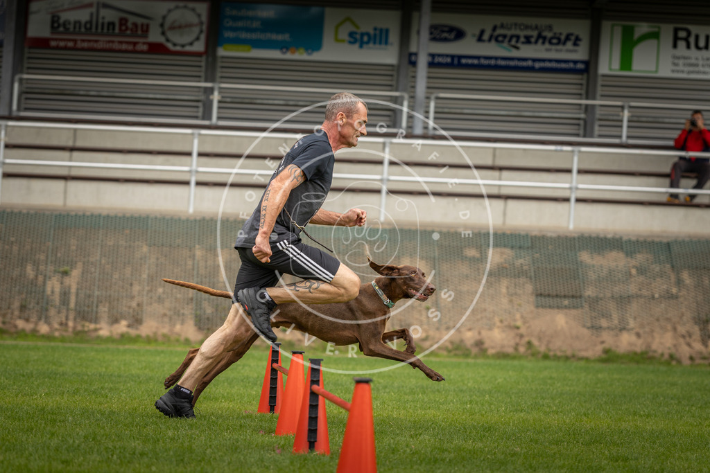 Pfotenfotografie_DV3A7816 | Hundefotografie, Tierfotograf, Pfotenfotografie, Fotoshooting Hund, Hunde Portrait, Hundesport, Hundeportraits, Heideshooting, Hunde, Sportfotograf, Hundefotograf, Turnierhundsport, THS,  - Realisiert mit Pictrs.com