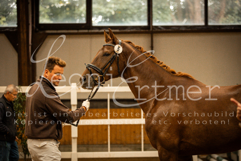 1FS_L00090 | Leoni Ertmer Photography - Realisiert mit Pictrs.com