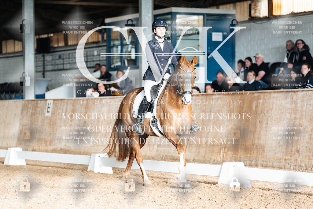 CK903028 | Turnierfotografie Pferdefotografie Trier Rheinland-Pfalz Pferdesport Reitsport Tierfotografie Sportfotografie Pferdevideo Pferdevideografie Equestrianvideography equestrianphotography  - Realisiert mit Pictrs.com
