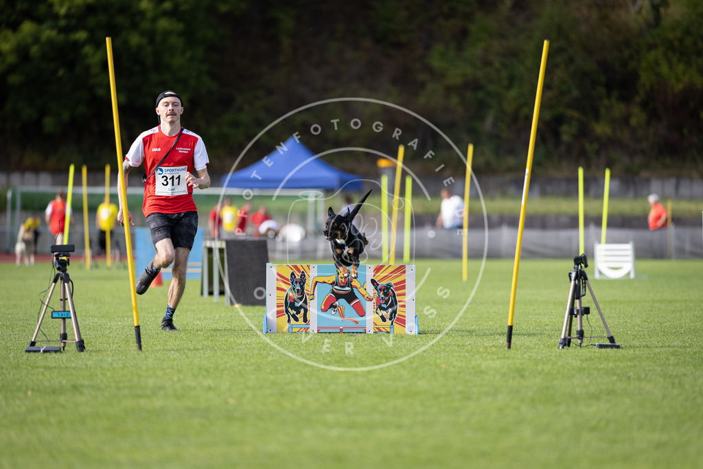 Pfotenfotografie_DV3A1727 | Hundefotografie, Tierfotograf, Pfotenfotografie, Fotoshooting Hund, Hunde Portrait, Hundesport, Hundeportraits, Heideshooting, Hunde, Sportfotograf, Hundefotograf, Turnierhundsport, THS,  - Realisiert mit Pictrs.com