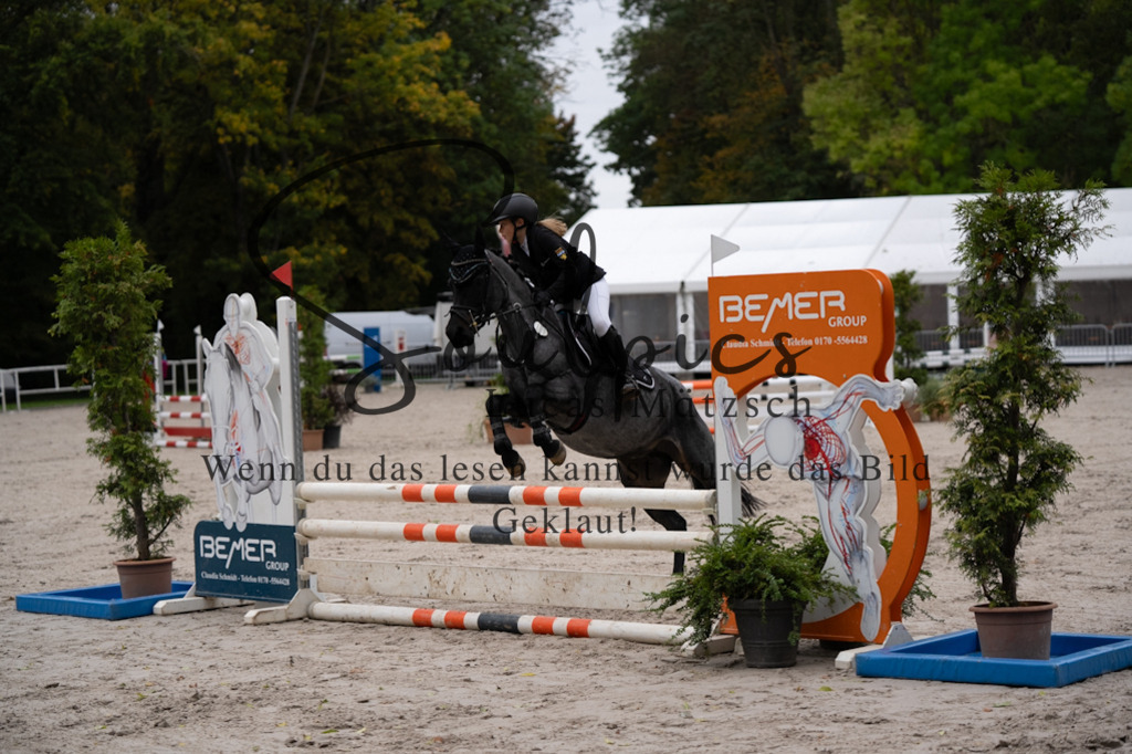 A7V08455 | Pferdefotograf