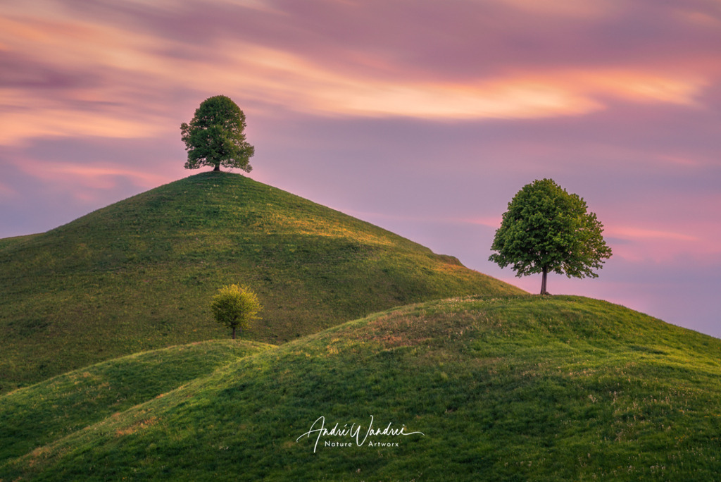 Die drei Linden | Andre Wandrei - Nature Artworx - Realisiert mit Pictrs.com