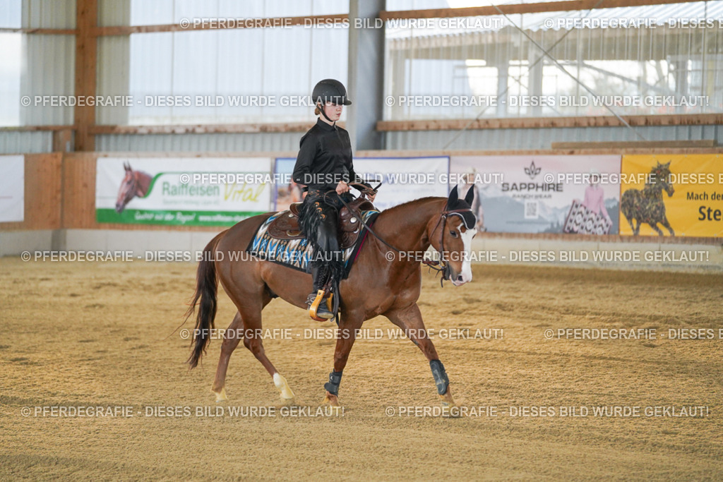 DSC08762 | Pferdegrafie