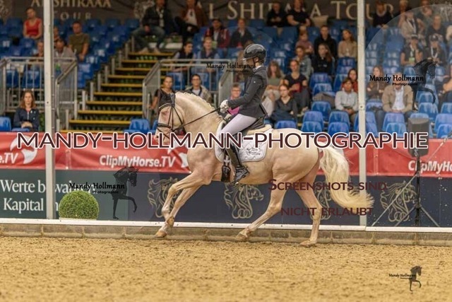 28-8-26 5j DRE-967 | mandyhollmannphotographie