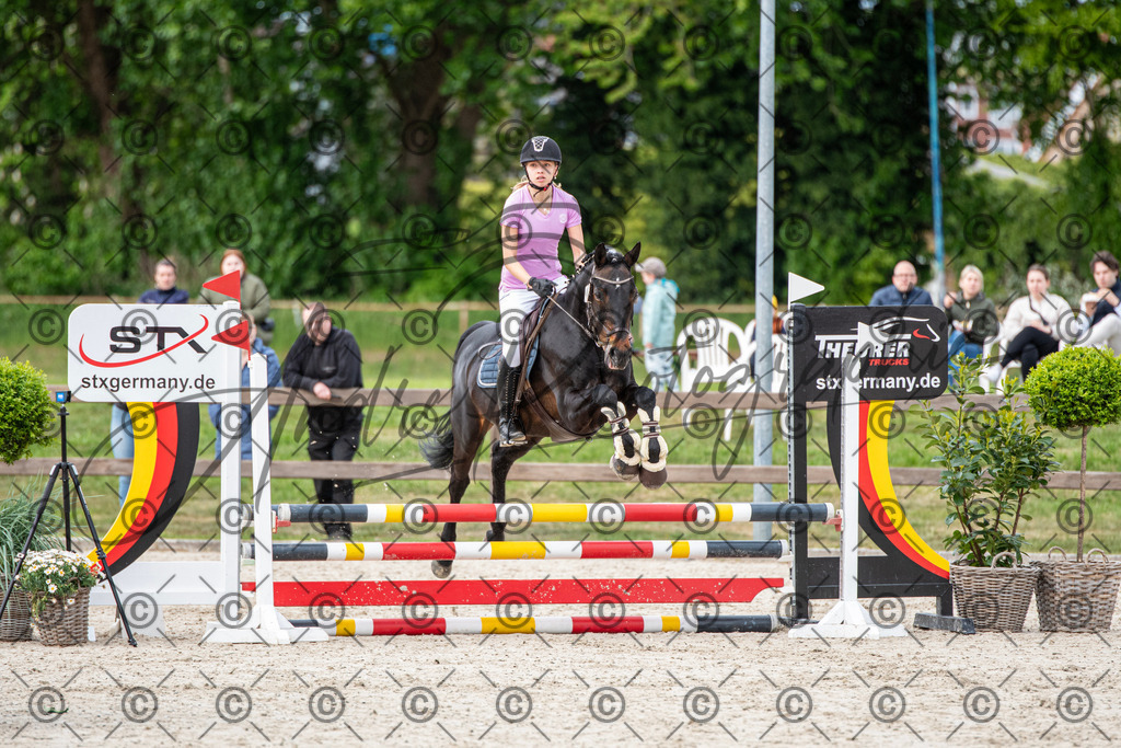 KPT_6931 | andre_photographic