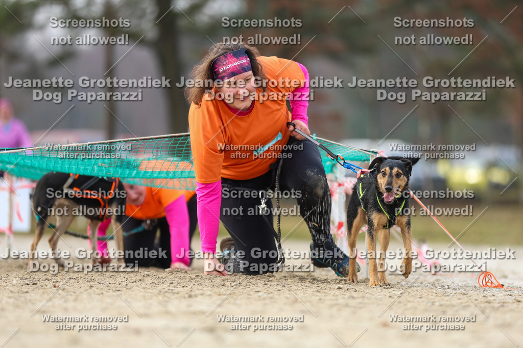 Dog Paparazzi - Strongdog North Mrz26-4280 | Dog Paparazzi Jeanette Grottendiek Fotografie & Videografie - Realisiert mit Pictrs.com