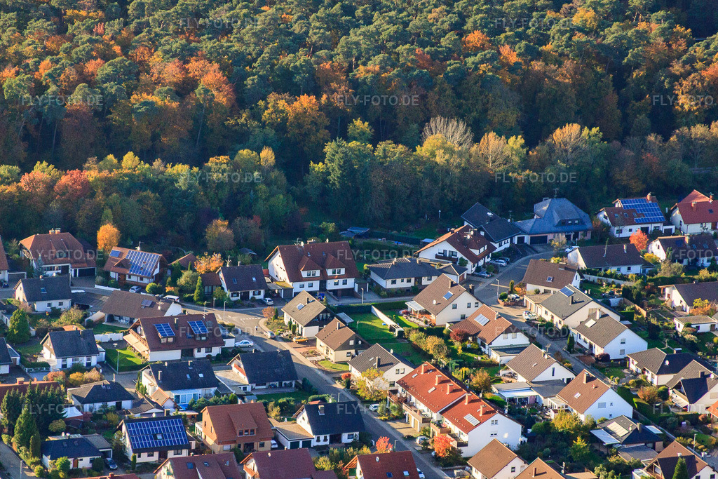 Luftbild: Südring in Rülzheim im Bundesland Rheinland-Pfalz in Deutschland. Foto: IMG_60508.jpg vom 24.10.2013 durch Werner Riehm/FLY-FOTO.de