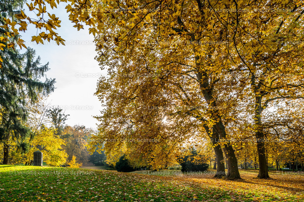 10049-4609 - Schloßpark Ballenstedt | Stockfoto und Bilderpool mit Bildmaterial aus Deutschland, dem Harz, Halberstadt, Quedlinburg, Wernigerode und weltweit. Qualitativ hochwertige und professionelle Fotos anschauen und kaufen. - Realisiert mit Pictrs.com