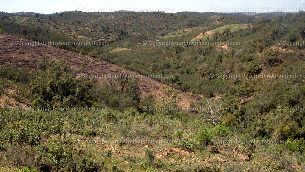Per Rad durch die wilde Hügellandschaft nahe Cortelha, Serra do Caldeirão, Algarve | Per Rad durch die wilde Hügellandschaft nahe Cortelha, Serra do Caldeirão, Algarve - Realisiert mit Pictrs.com
