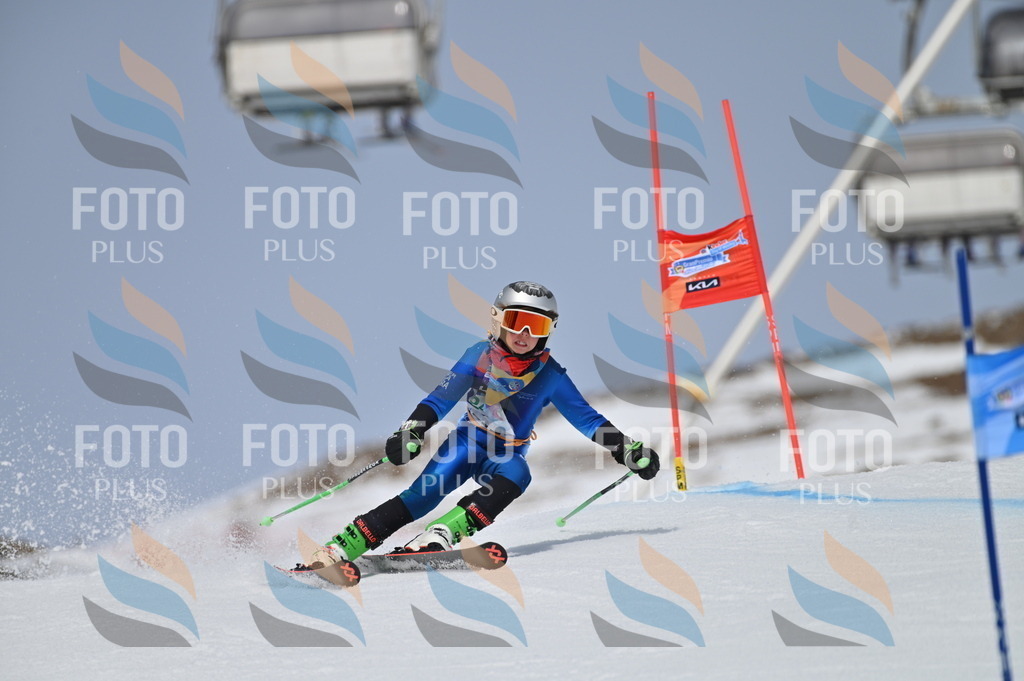 BGV_4841 | holidayphoto