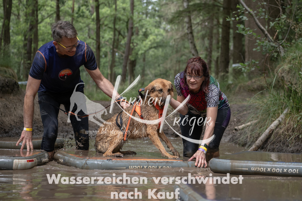 1335_ZZ94767 | kk-dogfotos