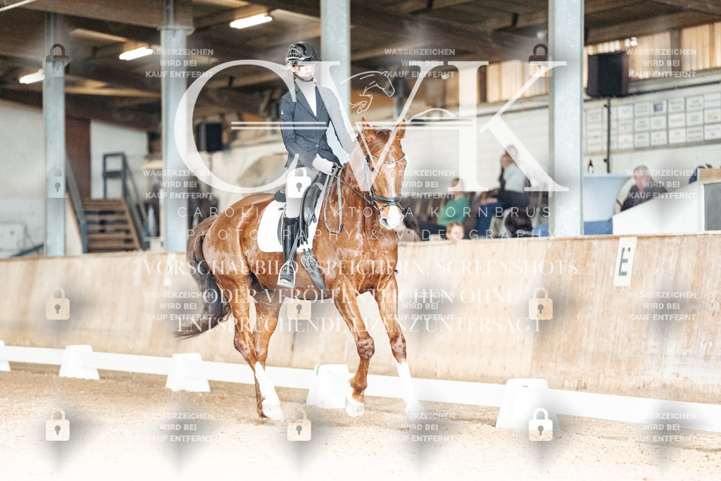 CK902432 | Turnierfotografie Pferdefotografie Trier Rheinland-Pfalz Pferdesport Reitsport Tierfotografie Sportfotografie Pferdevideo Pferdevideografie Equestrianvideography equestrianphotography  - Realisiert mit Pictrs.com