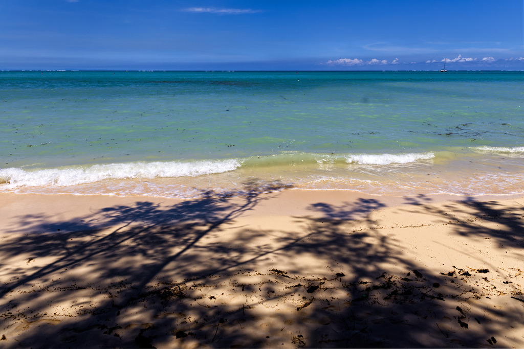 1H5A6646 | ansichtssache