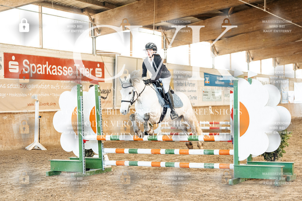 CK904059 | Turnierfotografie Pferdefotografie Trier Rheinland-Pfalz Pferdesport Reitsport Tierfotografie Sportfotografie Pferdevideo Pferdevideografie Equestrianvideography equestrianphotography  - Realized with Pictrs.com