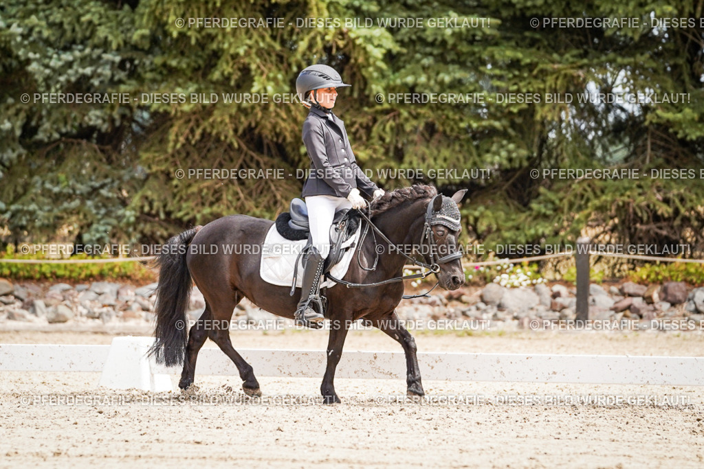 DSC02725 | Pferdegrafie