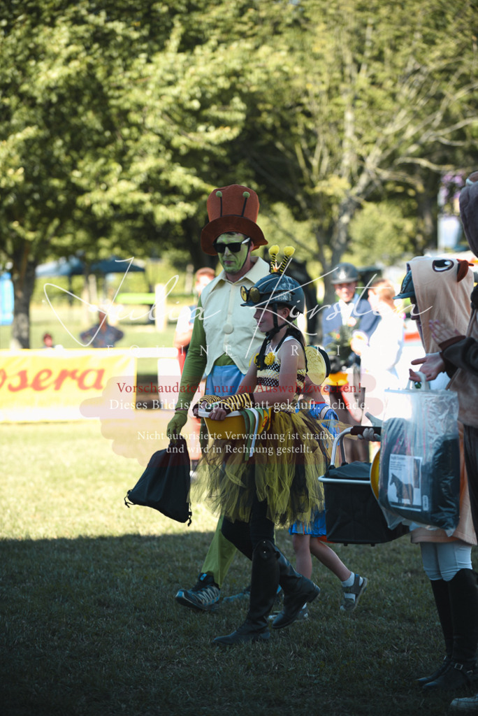 DSC_7849 | Pferde- und Turnierfotografie in Westsachsen. Pferdeportraits, Auftragszeichnungen und intuitive Kunst.