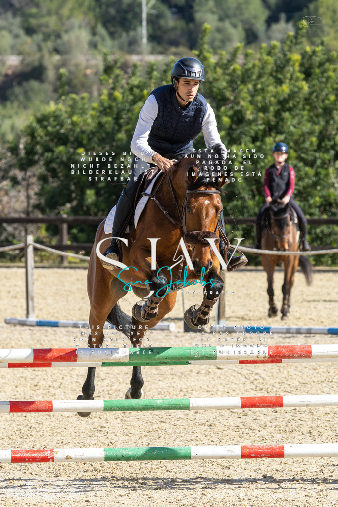 IMG_3961 | s-jay-photography - Realisiert mit Pictrs.com