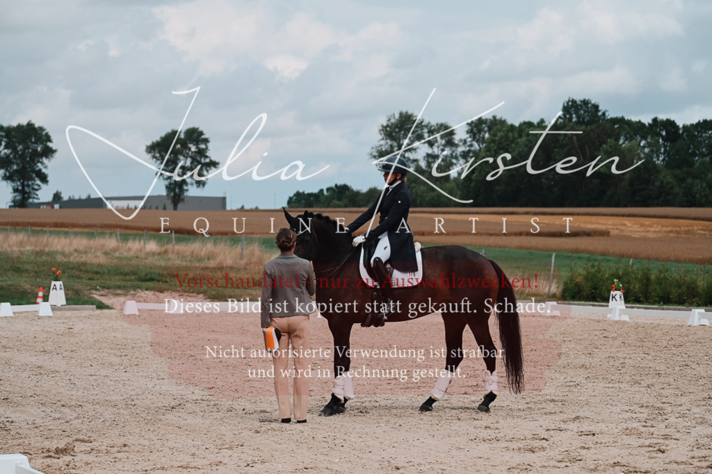 DSC_4402 | Pferde- und Turnierfotografie in Westsachsen. Pferdeportraits, Auftragszeichnungen und intuitive Kunst.