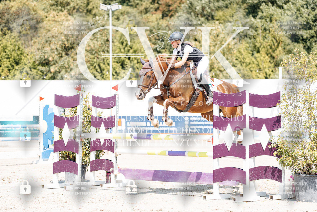 CK900975 | Turnierfotografie Pferdefotografie Trier Rheinland-Pfalz Pferdesport Reitsport Tierfotografie Sportfotografie Pferdevideo Pferdevideografie Equestrianvideography equestrianphotography  - Realisiert mit Pictrs.com