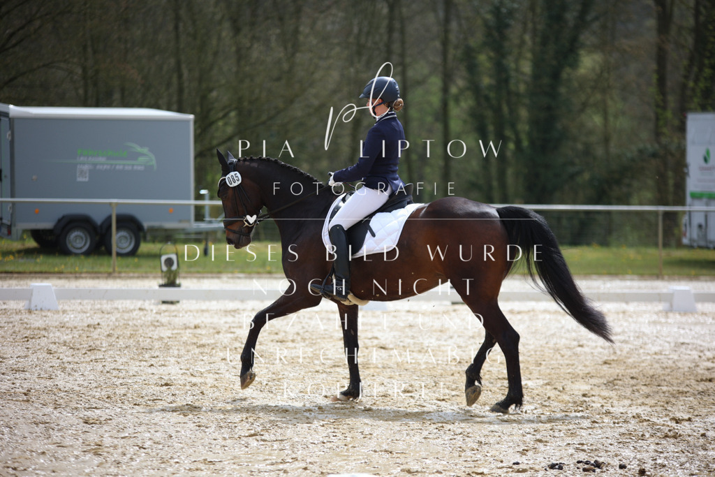 IMGT2691 | pl-fotografie