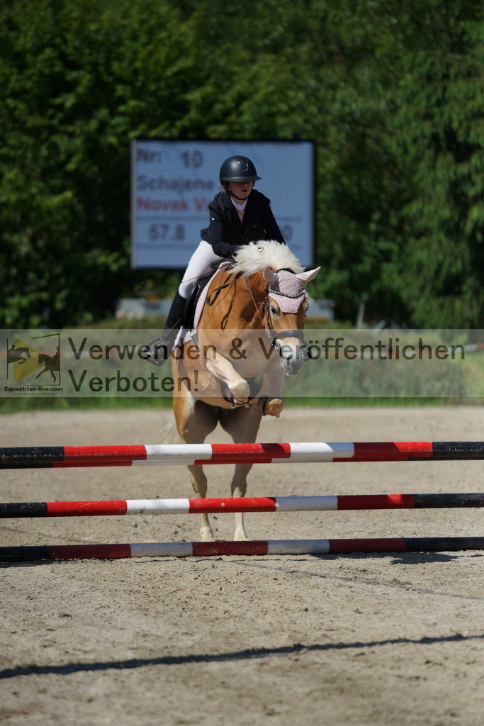 DSC06234 | equestrian-live-com
