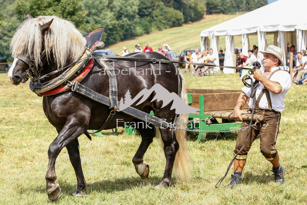15082015-fb-6271 | Leistungsziehen in Poschetsried 2015