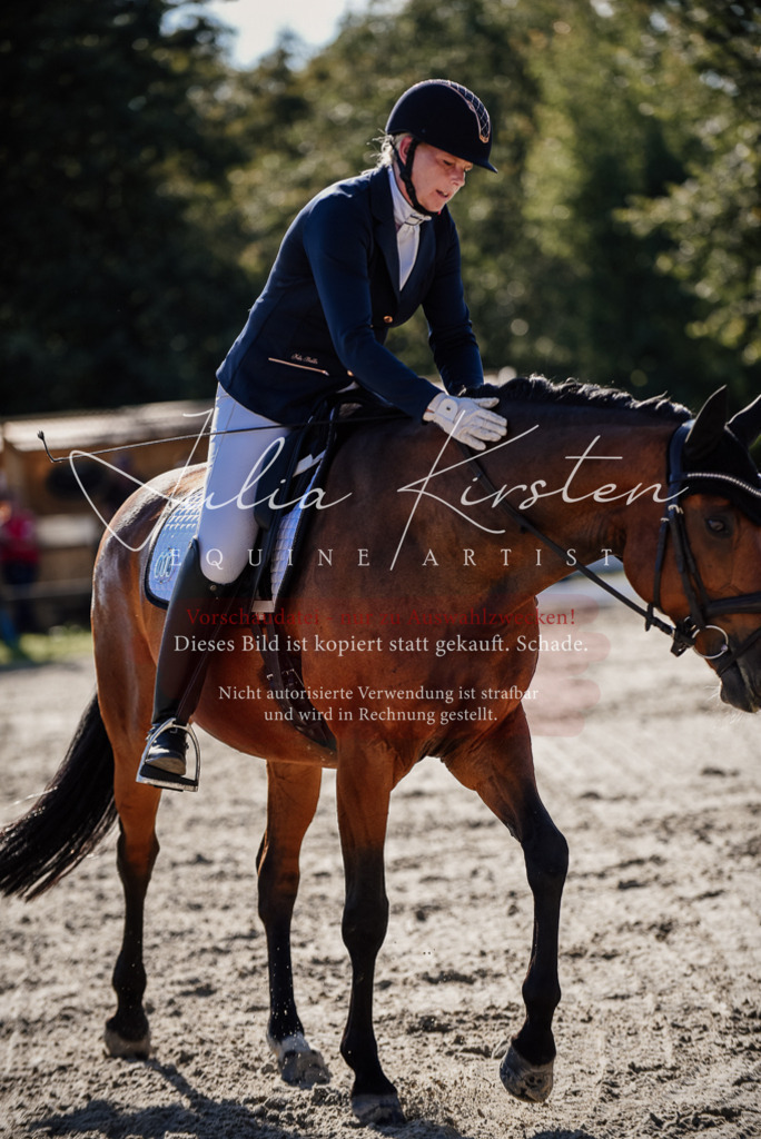 DSC_0422 | Pferde- und Turnierfotografie in Westsachsen. Pferdeportraits, Auftragszeichnungen und intuitive Kunst.