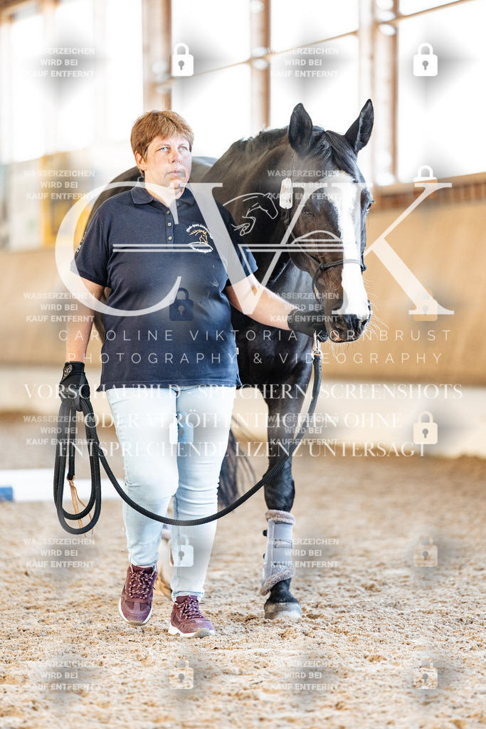 CK906257 | Turnierfotografie Pferdefotografie Trier Rheinland-Pfalz Pferdesport Reitsport Tierfotografie Sportfotografie Pferdevideo Pferdevideografie Equestrianvideography equestrianphotography  - Realized with Pictrs.com