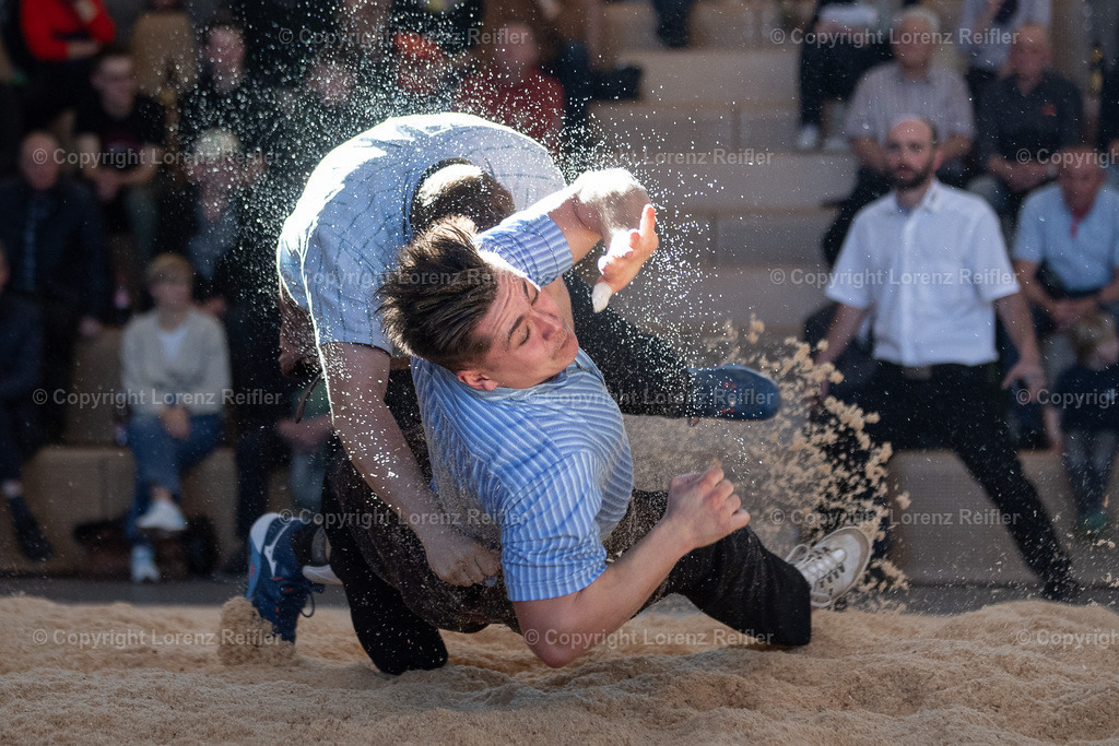 Schwingen -  Lichtmess 2024 | Gais, 3.2.24, Schwingen - Lichtmess.
