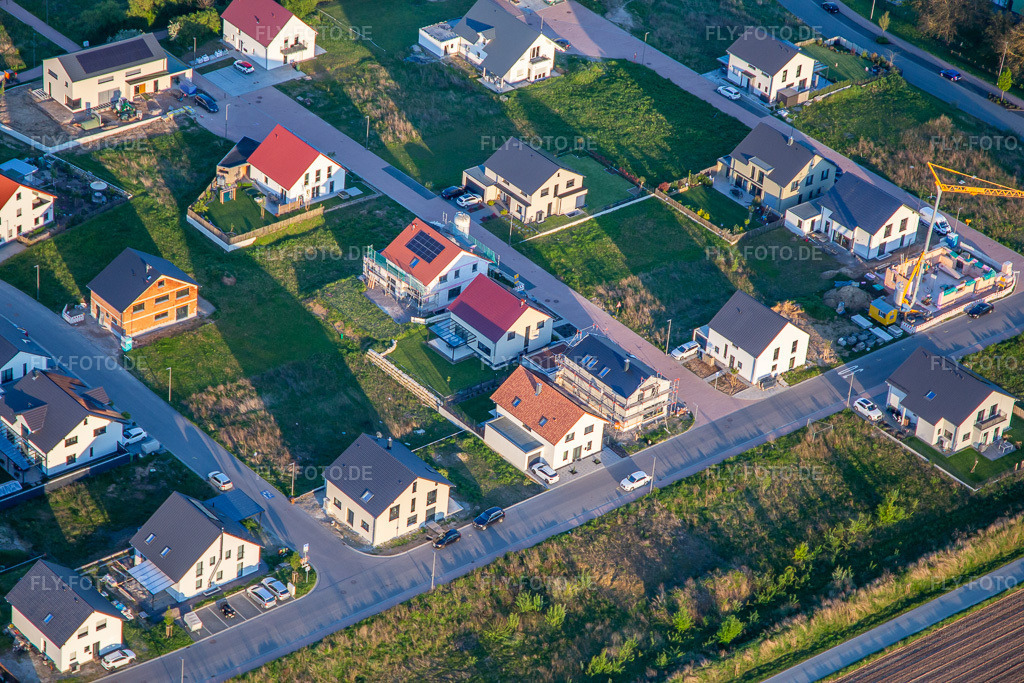 Luftbild: Sonnenblumen und Lavendelweg in Kandel im Bundesland Rheinland-Pfalz in Deutschland. Foto: IMG_140362.jpg vom 23.04.2024 durch Werner Riehm/FLY-FOTO.de