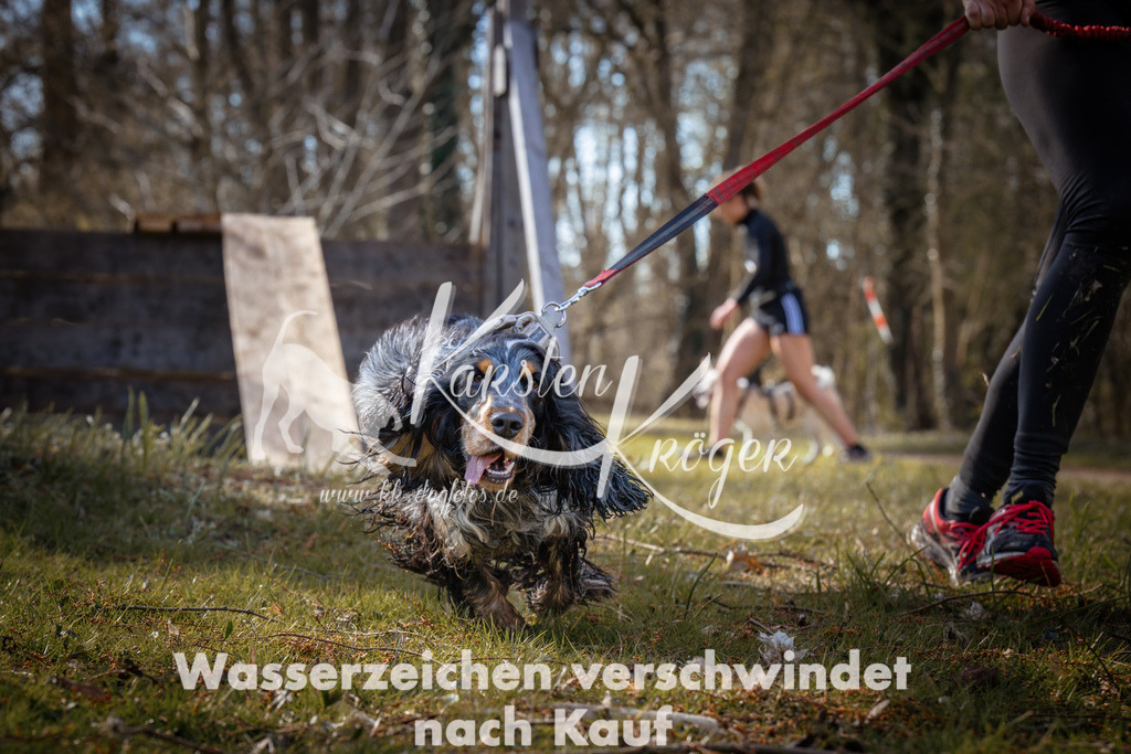 0916_ZZ94578 | kk-dogfotos