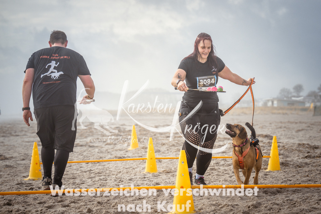 1138_ZZ99741 | kk-dogfotos