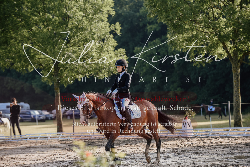 DSC_7888 | Pferde- und Turnierfotografie in Westsachsen. Pferdeportraits, Auftragszeichnungen und intuitive Kunst.