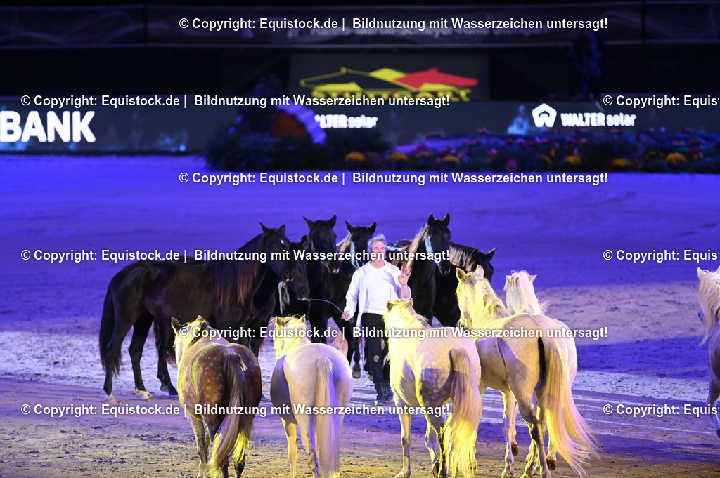 20231115_Show-Jean-Francois-Pignon_0136_TOMsPiC | Foto: Thomas Hartig