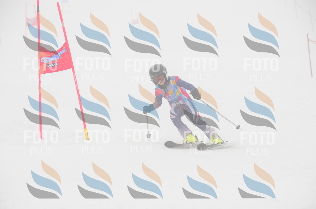 C0871 | holidayphoto