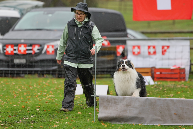 2025_Rally_Obedience_SM-249 | Ich fotografiere Hundeausstellungen, Sportanlässe, Zuchtstätten, Hundezucht, Hundeportrait, Lagotto - Realisiert mit Pictrs.com
