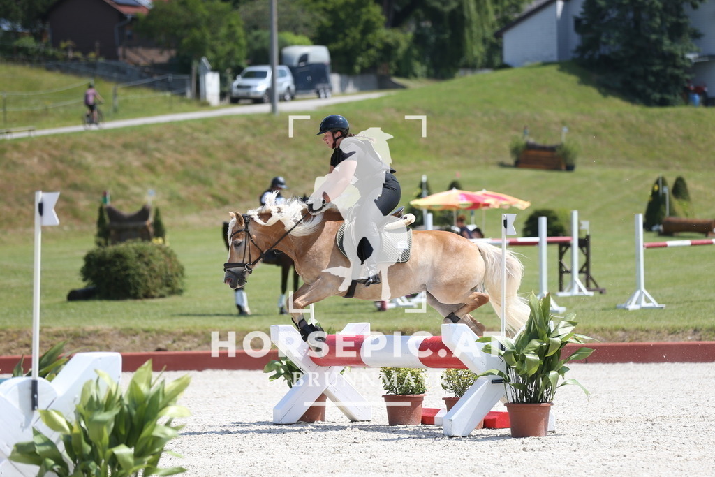 DL2Q1938 | Willkommen bei Brunnmayr - Design & Fotografie – Ihrem Spezialisten für Reitturniere und Pferdeveranstaltungen in Oberösterreich, Salzburg und Bayern! Seit über 17 Jahren sind wir leidenschaftlich dabei.