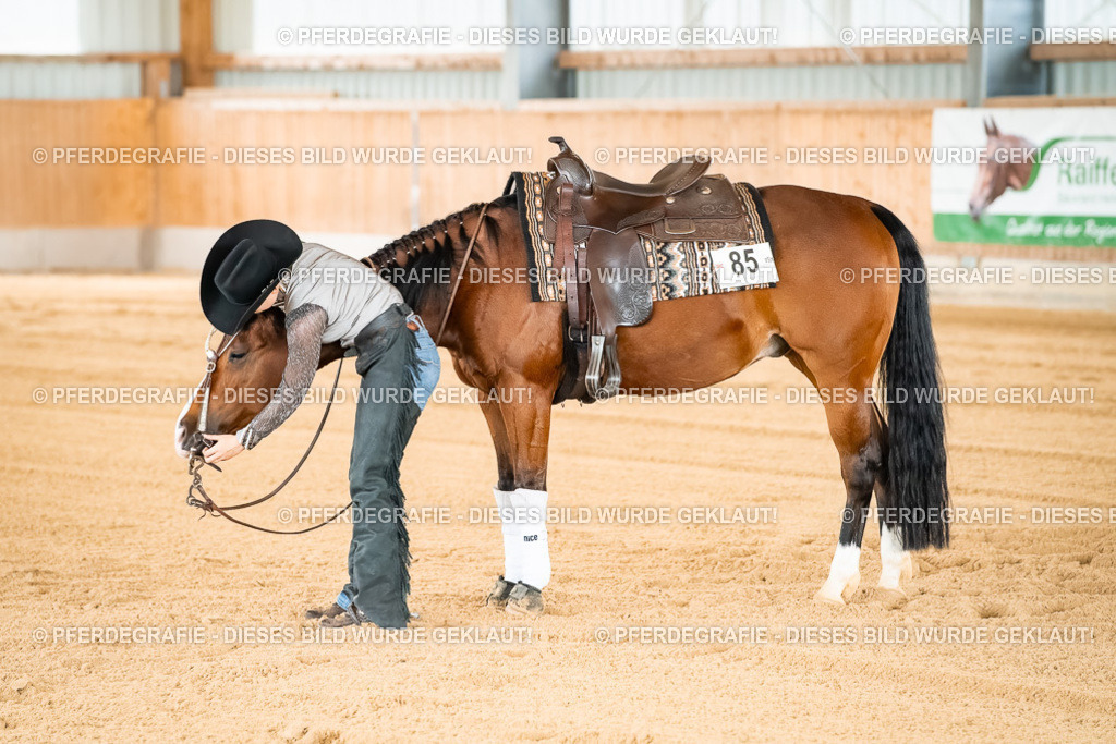 DSC02873 | Pferdegrafie