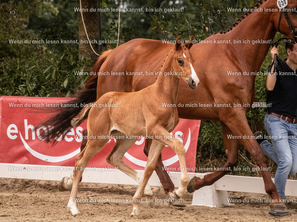 A10I5705 | photographylinaismer - Realisiert mit Pictrs.com