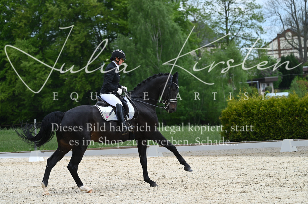 20230512_JK-Röhrsdorf-05-117 | Pferde- und Turnierfotografie in Westsachsen. Pferdeportraits, Auftragszeichnungen und intuitive Kunst.