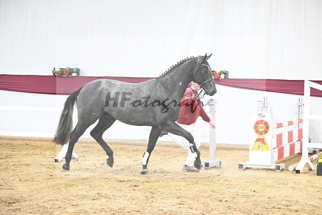 Kat-Nr. 104 Allroad 2000 Z x Chacco-Blue_Anton Gassler_47253331 | hf-fotografie - Realisiert mit Pictrs.com