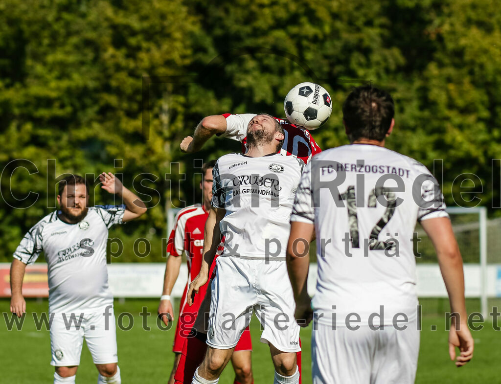 2023-09-09_089_FC_Herzogstadt_II_gegen_SG_Hoerlkofen_Woerth | Erding, Deutschland, 09.09.2023:
Fußball, A-Klassel 2023 / 2024, 6. Spieltag, FC Herzogstadt II gegen SG Hörlkofen/Wörth, Endergebnis: 1:2

Foto: Christian Riedel / fotografie-riedel.net