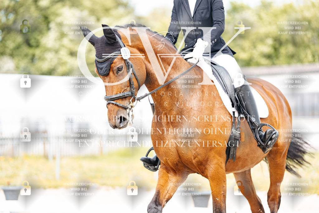 CK900957 | Turnierfotografie Pferdefotografie Trier Rheinland-Pfalz Pferdesport Reitsport Tierfotografie Sportfotografie Pferdevideo Pferdevideografie Equestrianvideography equestrianphotography  - Realisiert mit Pictrs.com