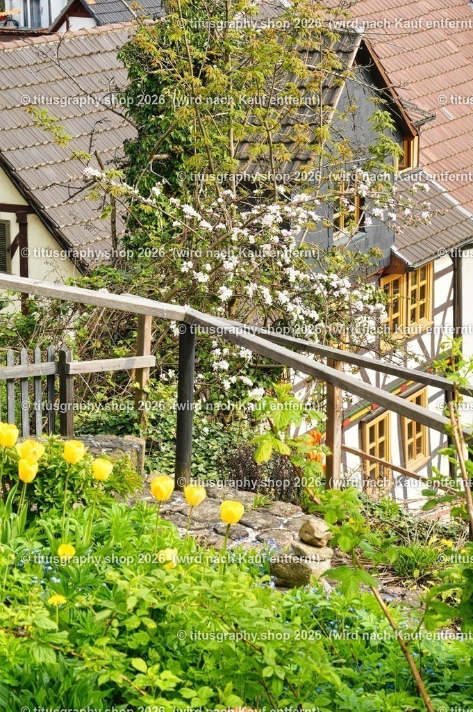 Oberkaufungen | titusgraphy-shop: Geschenkideen mit Qualitätsfotos. titusgraphy-shop: gift ideas with quality photos. titusgraphy-shop: idées cadeaux avec photos de qualité.  - Realisiert mit Pictrs.com